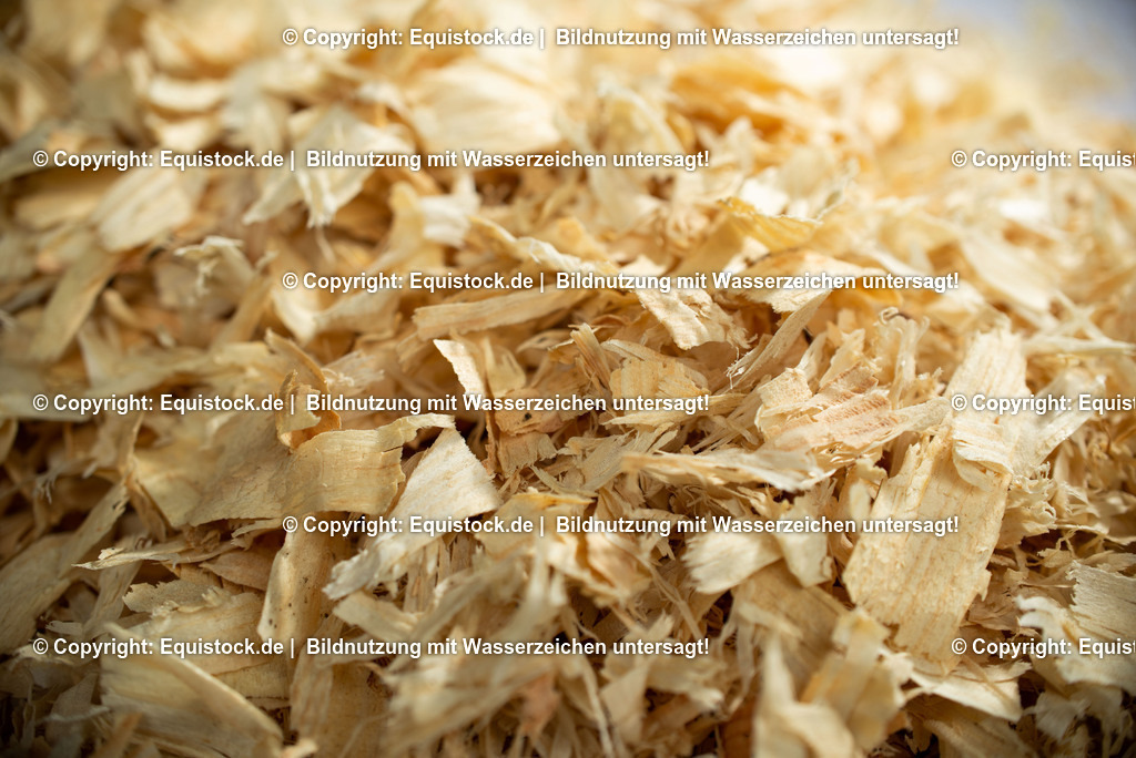 20190409_Rundholz-Span_0009 | Foto: Thomas Hartig