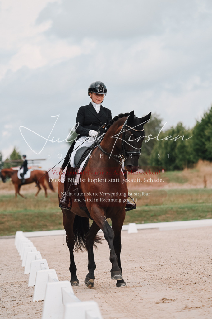 DSC_4169 | Pferde- und Turnierfotografie in Westsachsen. Pferdeportraits, Auftragszeichnungen und intuitive Kunst.