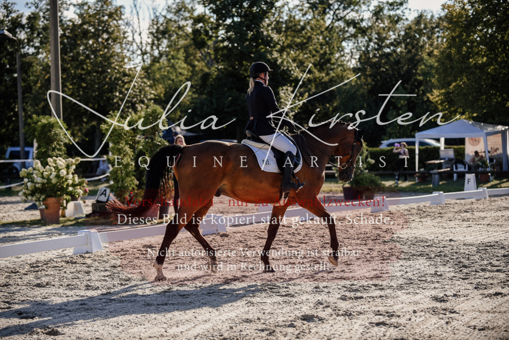DSC_0674 | Pferde- und Turnierfotografie in Westsachsen. Pferdeportraits, Auftragszeichnungen und intuitive Kunst.