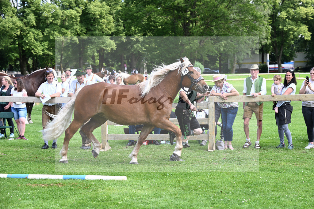 Kat-Nr. 75 Melodie v. Voithberg_Ober_22241334 | hf-fotografie - Realizzato con Pictrs.com