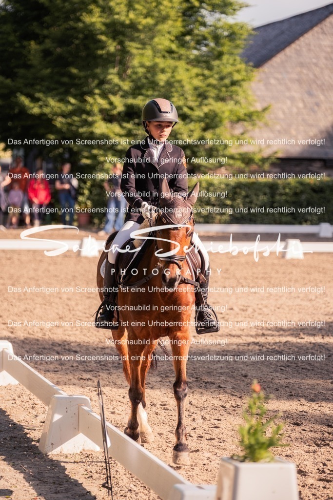 2025_05_31_DSCF2709 | People- und Tierfotografie, Imageaufnahmen, Veranstaltungsfotografie und Wandbilder aus der Natur ★ Made in Germany ✔️ Druck + Downloads ✔️ Naturfotografie in Top Qualität ★ schneller Versand, weltweite Lieferung! - Realisiert mit Pictrs.com