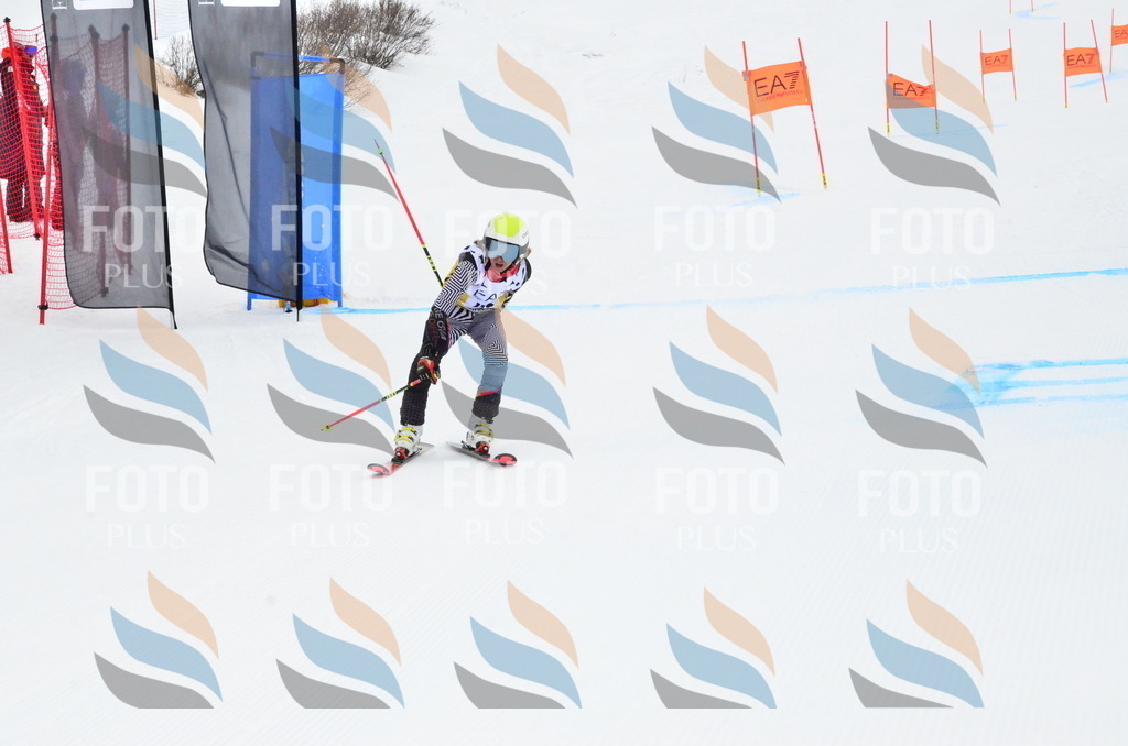 _ELE3920 | holidayphoto