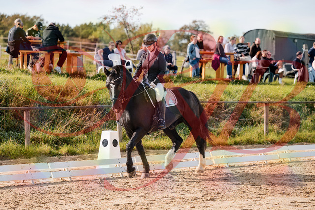 2026_10_03_Siefer-Hof_120535_Z63_36175873 | Professionelle Reitsport-, Turnier- und Eventfotografie von Robert Broda. Galerien mit ausgewählten und bearbeiteten Bildern direkt online ansehen und bestellen.