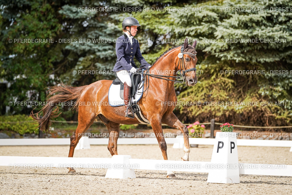 DSC06964 | Pferdegrafie