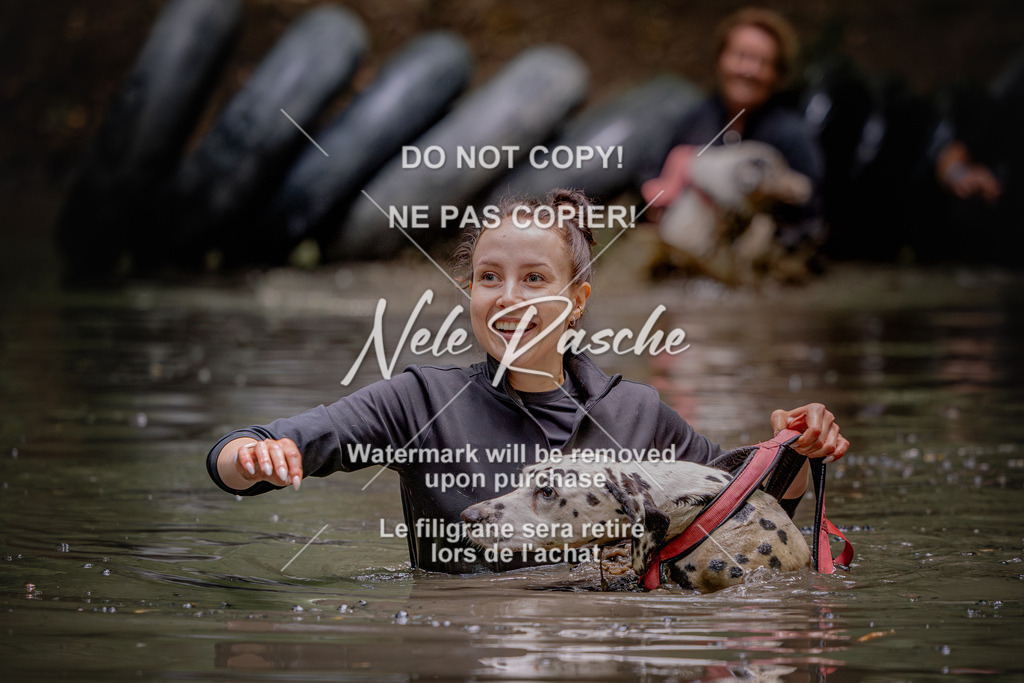 nelerasche_SaWingst1530-1600_57 | nelerasche