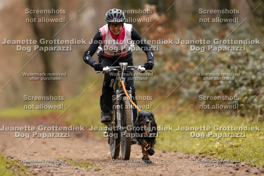 Dog Paparazzi - Speedhunter Mannheim  2025-394 | Dog Paparazzi Jeanette Grottendiek Fotografie & Videografie
