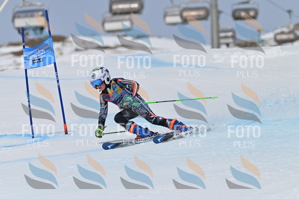 BGV_5079 | holidayphoto