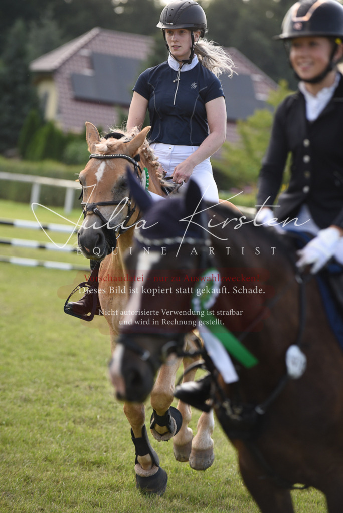 DSC_9016 | Pferde- und Turnierfotografie in Westsachsen. Pferdeportraits, Auftragszeichnungen und intuitive Kunst.