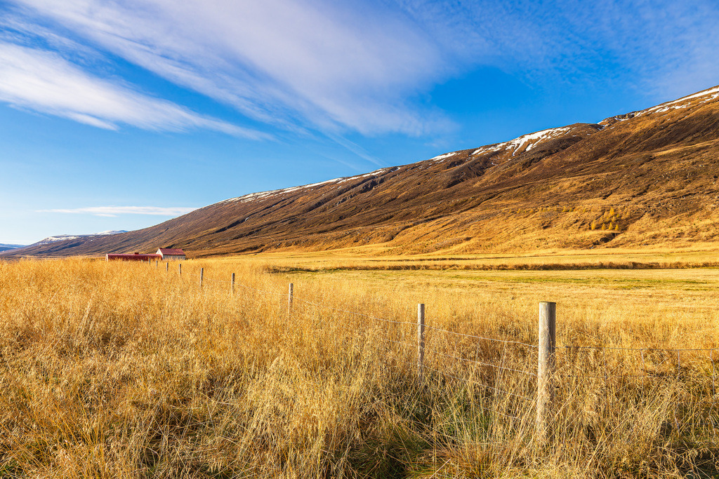 Landschaft mit Gras im Osten von Island | Landschaft mit Gras im Osten von Island.
