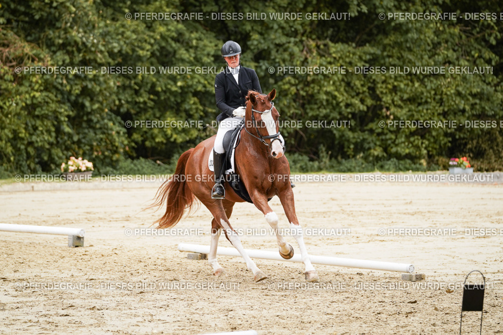 DSC00372 | Pferdegrafie