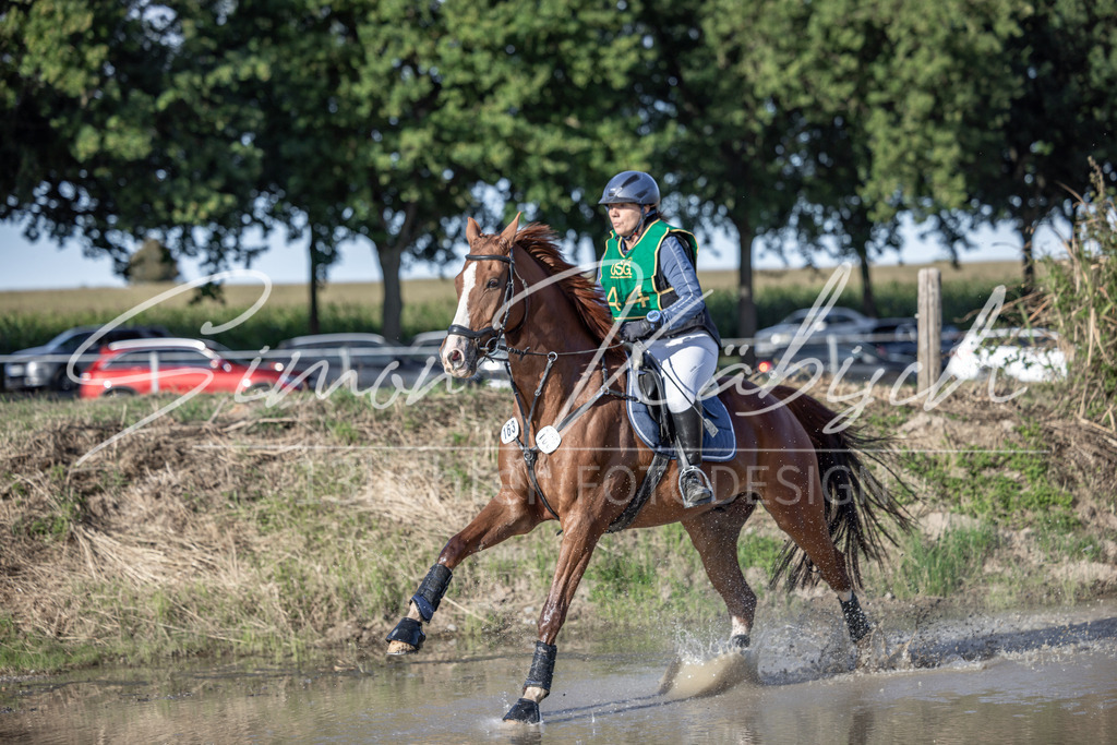 20250907-_3LI4520 | Tierfotografie Pferde, Hunde, Katzen, Haustiere.
Turnierfotografie Reitturniere, Reiten, Springreiten, Dressur in Hanau, dem Main-Kinzig-Kreis und dem Rhein-Main- Gebiet um Frankfurt