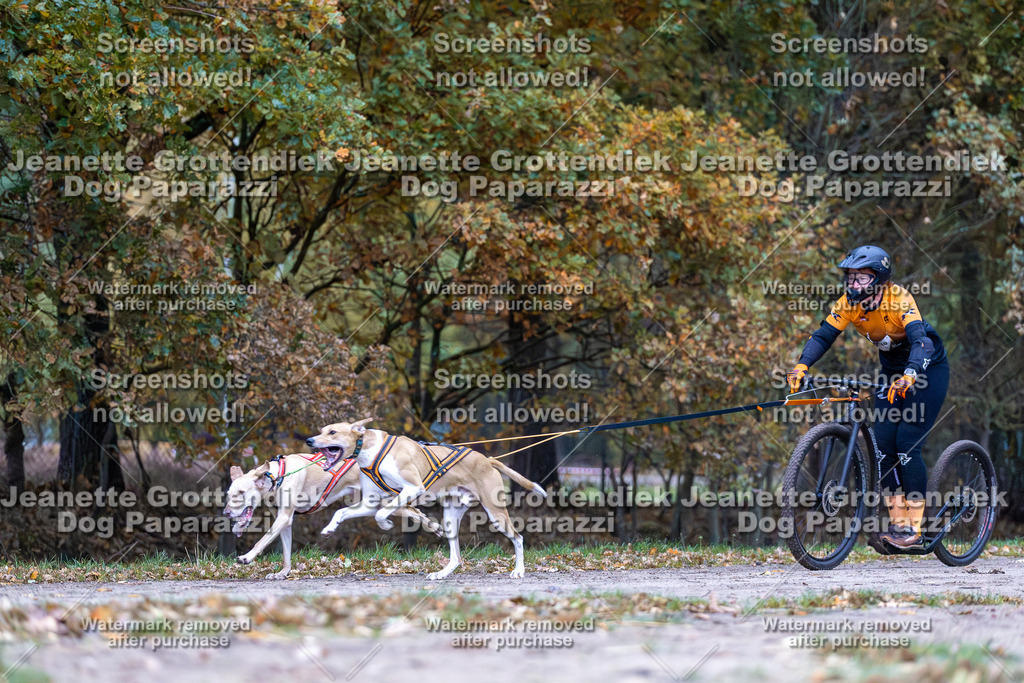 Dog Paparazzi - SD CaniX Championship 2025-8 | Dog Paparazzi Jeanette Grottendiek Fotografie & Videografie - Realisiert mit Pictrs.com