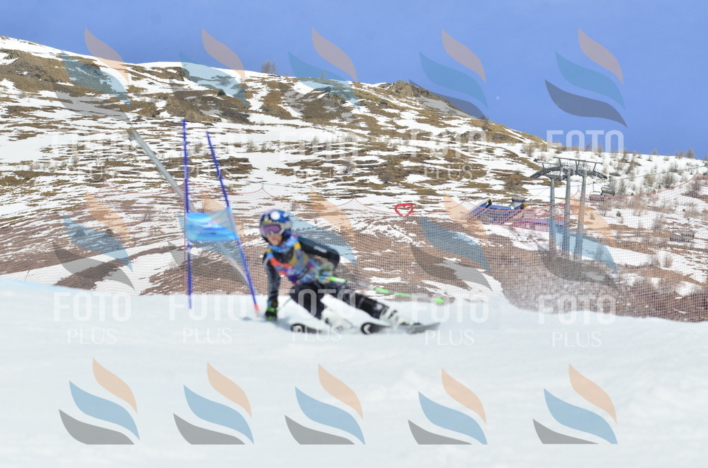 _ELE2604 | holidayphoto