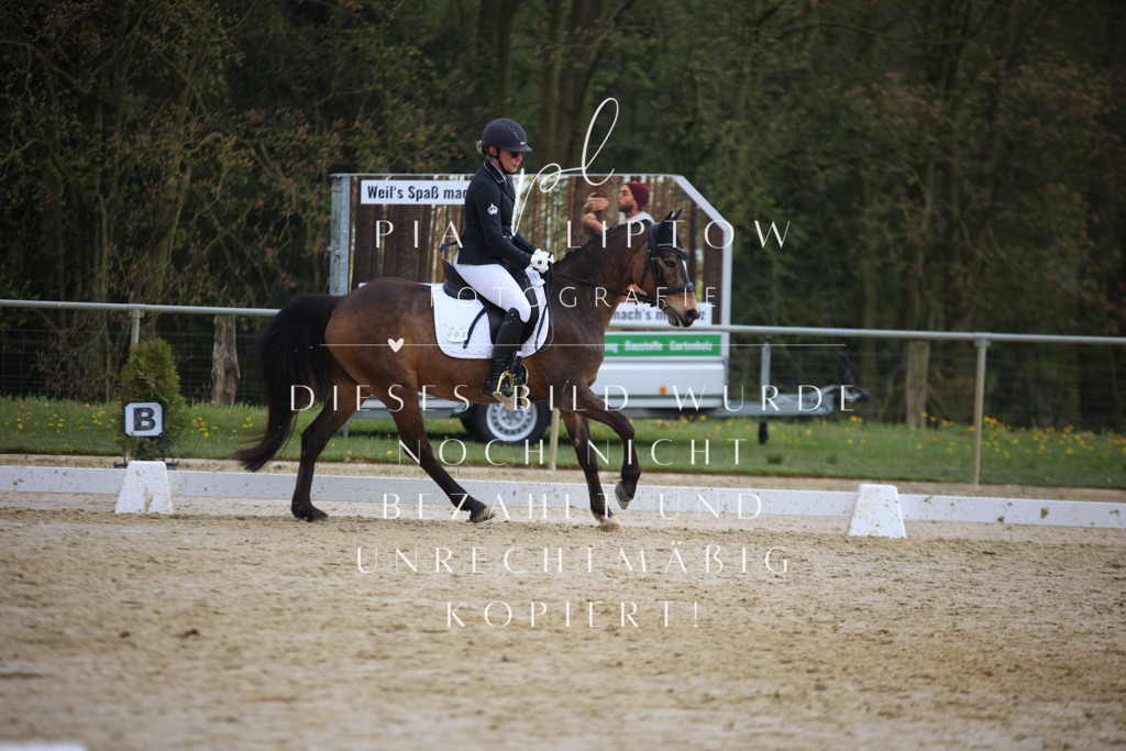 IMGT5672 | pl-fotografie