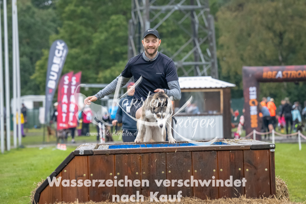 1201--7 | kk-dogfotos