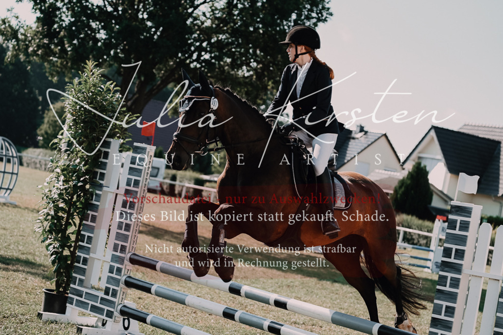 DSC_4814 | Pferde- und Turnierfotografie in Westsachsen. Pferdeportraits, Auftragszeichnungen und intuitive Kunst.