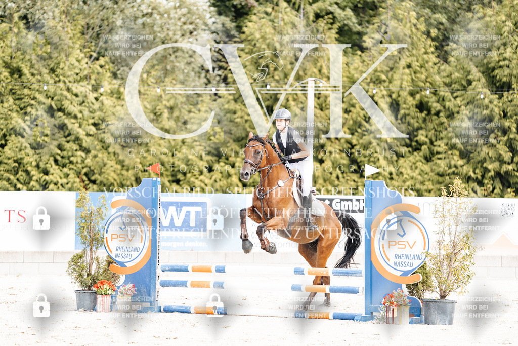 CK906568 | Turnierfotografie Pferdefotografie Trier Rheinland-Pfalz Pferdesport Reitsport Tierfotografie Sportfotografie Pferdevideo Pferdevideografie Equestrianvideography equestrianphotography  - Realisiert mit Pictrs.com