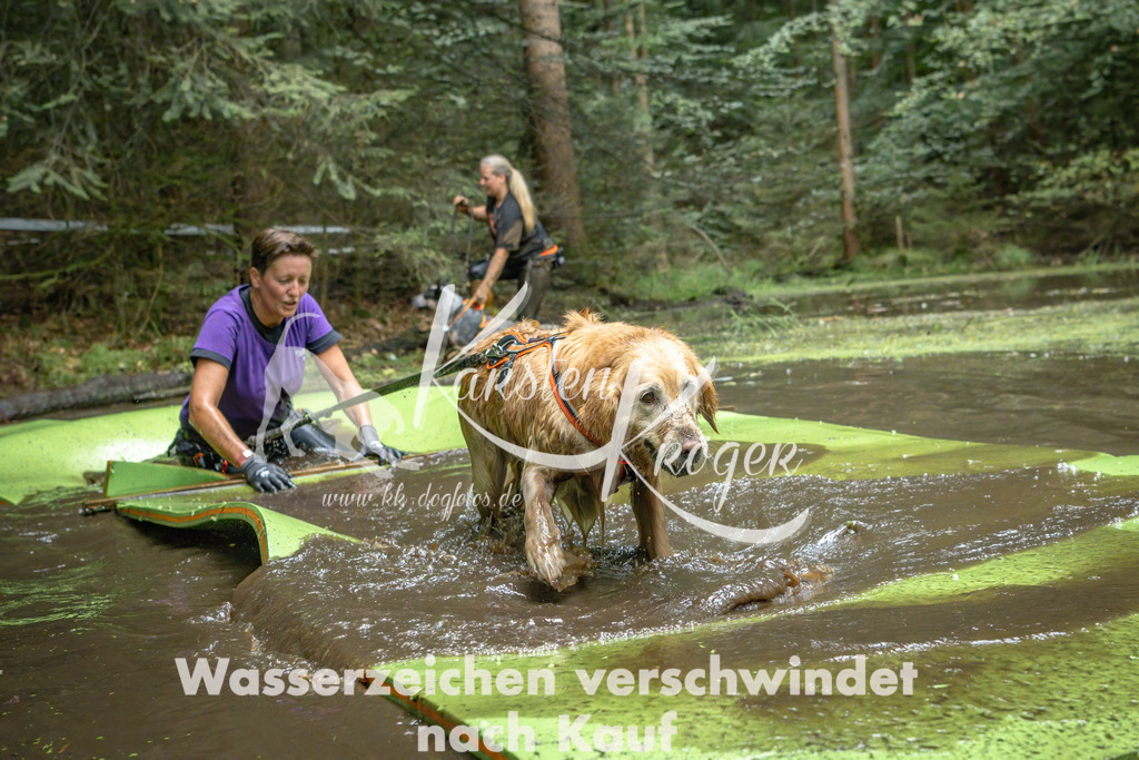 1529_ZZ90928-Bearbeitet | kk-dogfotos