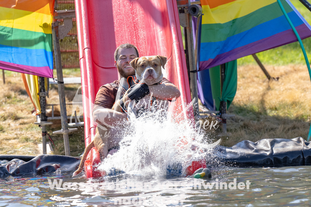 1229_ZZ92127 | kk-dogfotos