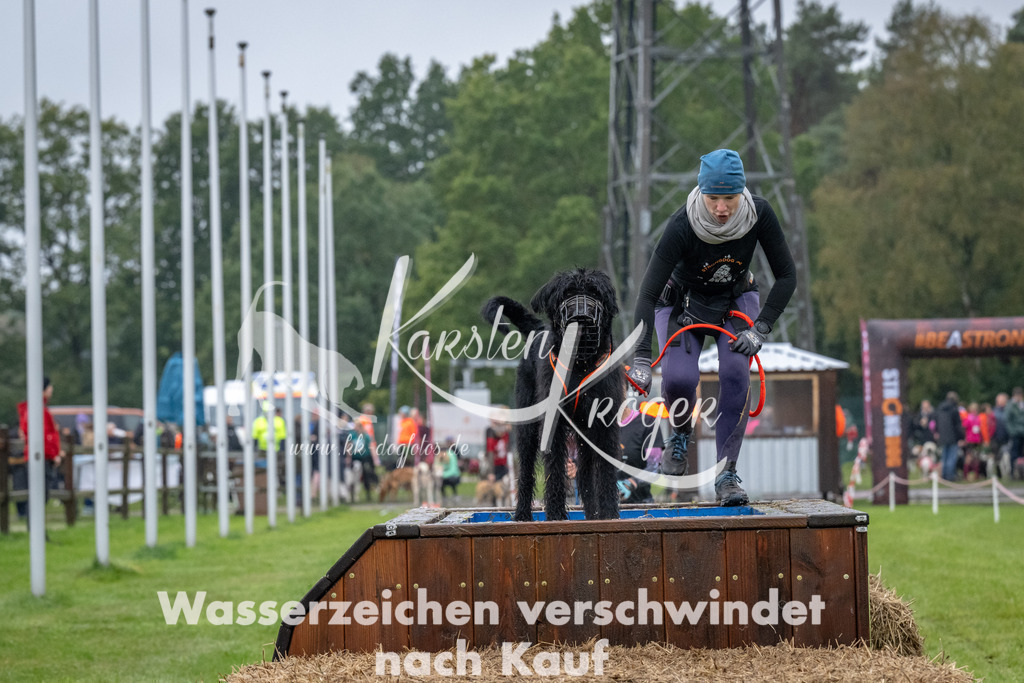 1111-93784 | kk-dogfotos