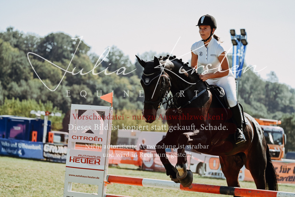 DSC_6726 | Pferde- und Turnierfotografie in Westsachsen. Pferdeportraits, Auftragszeichnungen und intuitive Kunst.