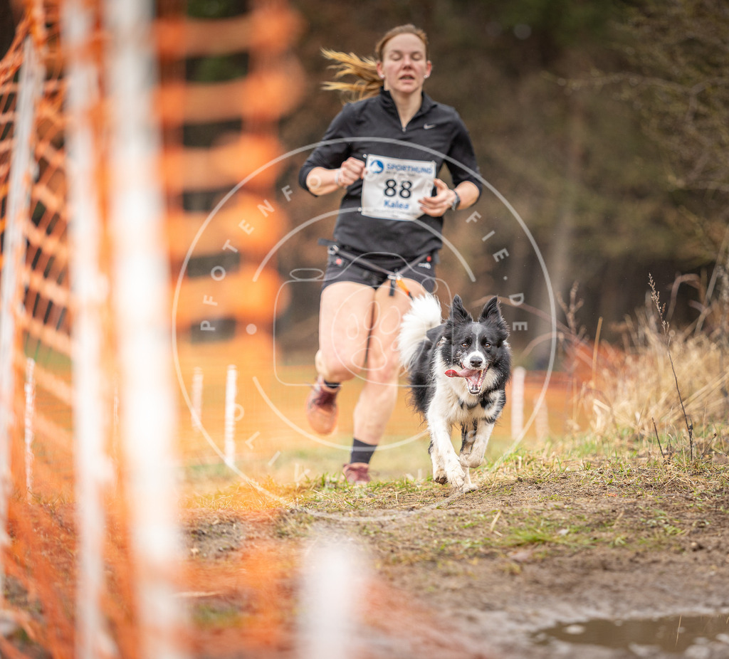 DV3A0386 | Hundefotografie, Tierfotograf, Pfotenfotografie, Fotoshooting Hund, Hunde Portrait, Hundesport, Hundeportraits, Heideshooting, Hunde, Sportfotograf, Hundefotograf, Turnierhundsport, THS,  - Realisiert mit Pictrs.com