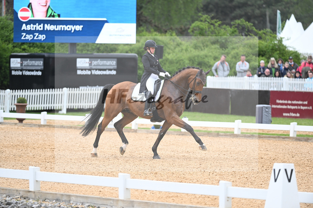 Neumayer_Zap Zap_11232655 | hf-fotografie - Realisiert mit Pictrs.com