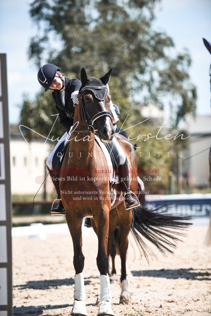 DSC_8786 | Pferde- und Turnierfotografie in Westsachsen. Pferdeportraits, Auftragszeichnungen und intuitive Kunst.