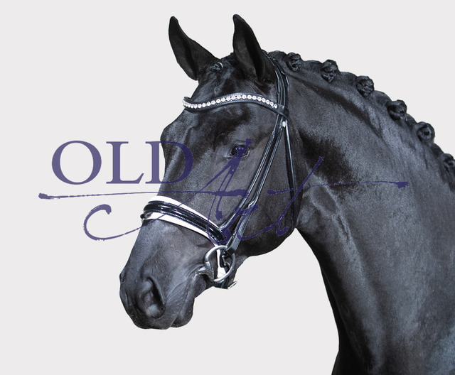 63 DE 433330226821 Iron - Sarkozy - De Niro_Kopf | <meta name="description" content="★Offizieller Merchandise und Foto-/Videostore des Oldenburger Verbandes.★ ✅Jetzt auch digital Ausdrucke erhältlich." />
<meta name="keywords" content="Merchandise Foto-/Videostore Oldenburger Verband Photographie 