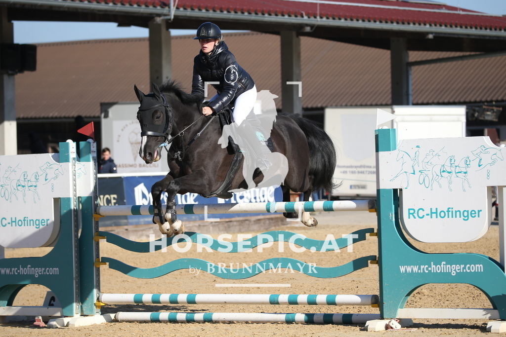 DL2Q1366 | Willkommen bei Brunnmayr - Design & Fotografie – Ihrem Spezialisten für Reitturniere und Pferdeveranstaltungen in Oberösterreich, Salzburg und Bayern! Seit über 17 Jahren sind wir leidenschaftlich dabei.