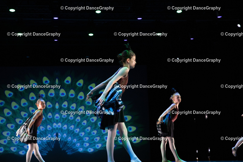 GPHY6167 | DanceGraphy - Realisiert mit Pictrs.com