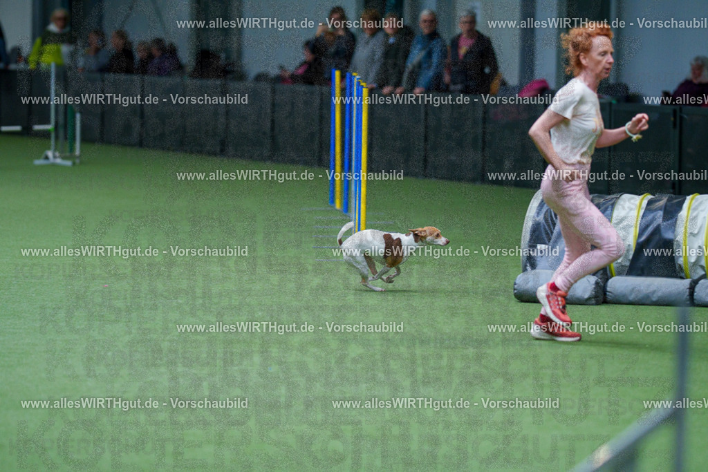 @allesWIRTHgut_Tierfotografie - www.allesWIRTHgut.de - 2604251120-7R500253 | Professionelle Tierfotografie in Mönchengladbach von Daniel Wirth (allesWIRTHgut). Liebevolle & natürliche Bilder von Hunden & Katzen für unvergessliche Erinnerungen.
