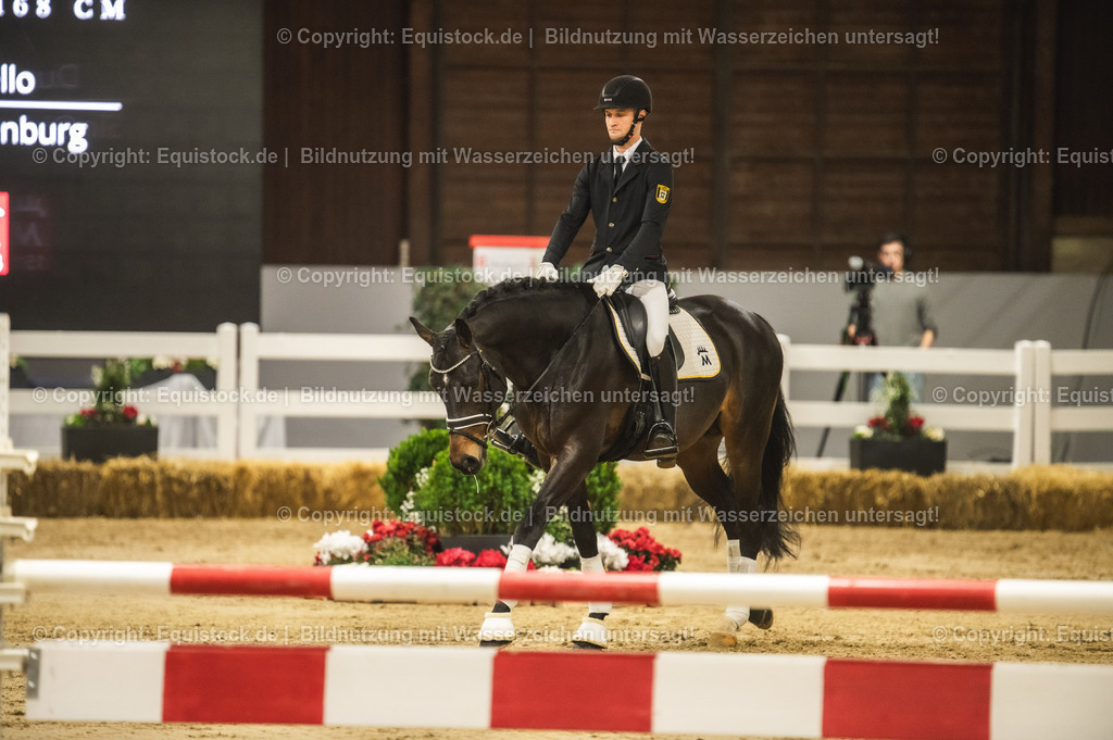 20240302_Hengstvorstellung_Marbach_TOMsPiC_0416 | equistock