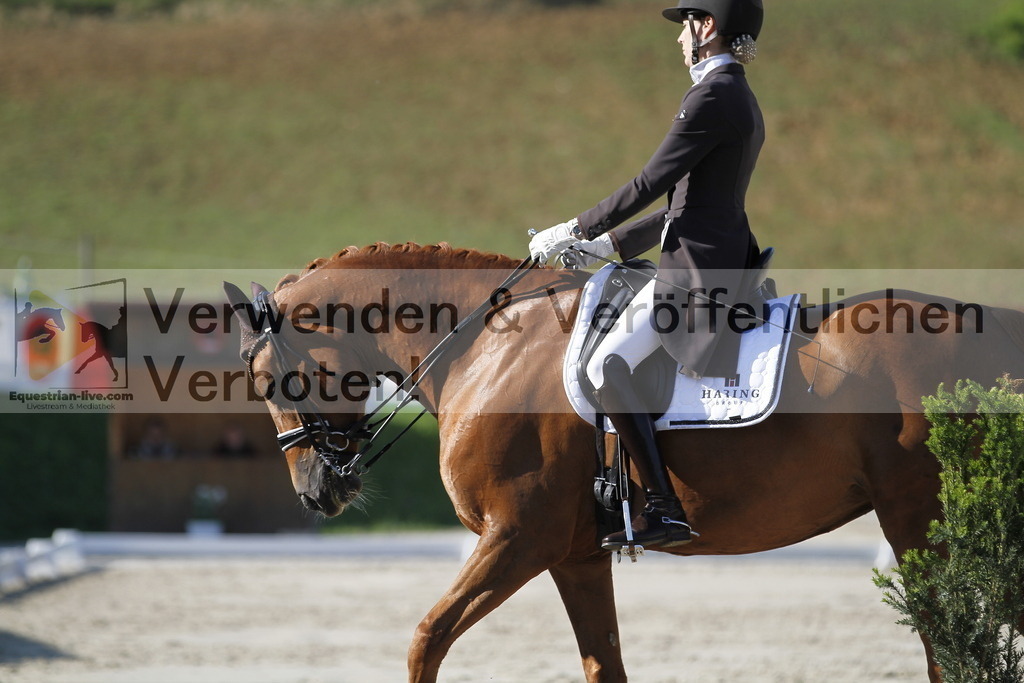 _MG_3258 | equestrian-live-com