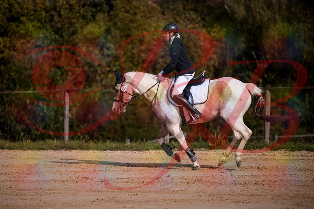 2026_10_03_Siefer-Hof_144251_Z81_16073684 | Professionelle Reitsport-, Turnier- und Eventfotografie von Robert Broda. Galerien mit ausgewählten und bearbeiteten Bildern direkt online ansehen und bestellen.