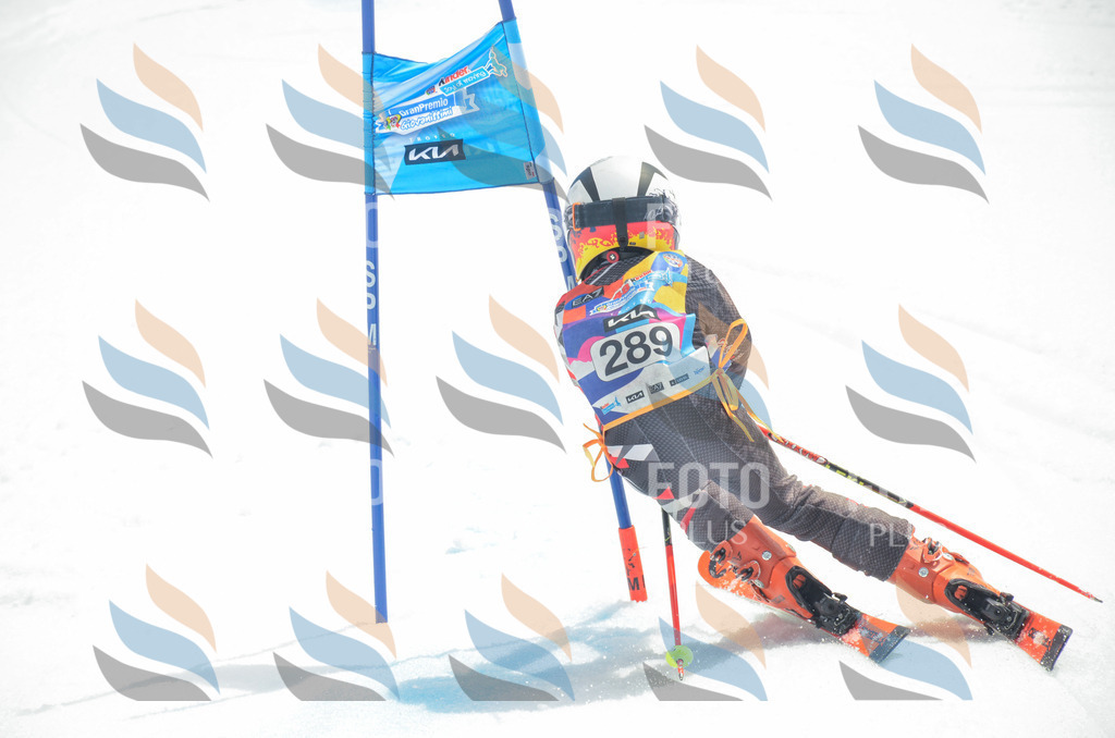 _ELE8079 | holidayphoto