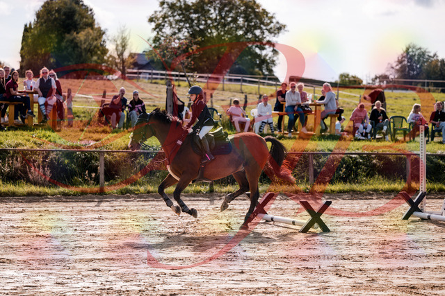 2026_10_03_Siefer-Hof_143808_Z81_07842861 | Professionelle Reitsport-, Turnier- und Eventfotografie von Robert Broda. Galerien mit ausgewählten und bearbeiteten Bildern direkt online ansehen und bestellen.