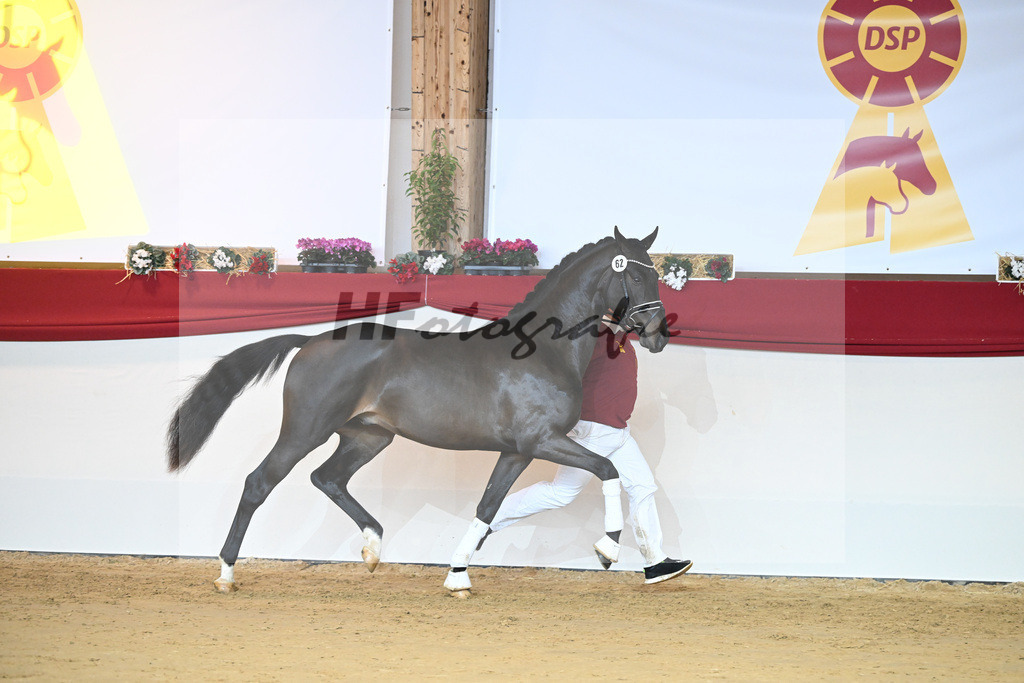 Kat-Nr. 62 Le Formidable_Rothenberger_1231473 | hf-fotografie - Realisiert mit Pictrs.com