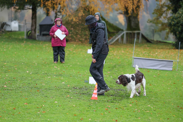 2025_Rally_Obedience_SM-58 | Ich fotografiere Hundeausstellungen, Sportanlässe, Zuchtstätten, Hundezucht, Hundeportrait, Lagotto - Realisiert mit Pictrs.com