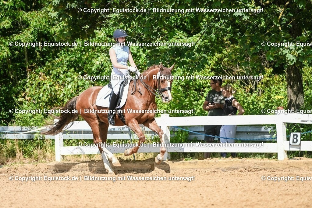 20230716_01_Dressurprüfung Kl.M_0264 | equistock