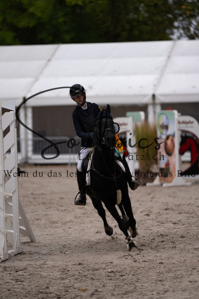 A7V09258 | Pferdefotograf