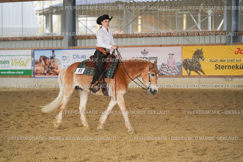 DSC01199 | Pferdegrafie