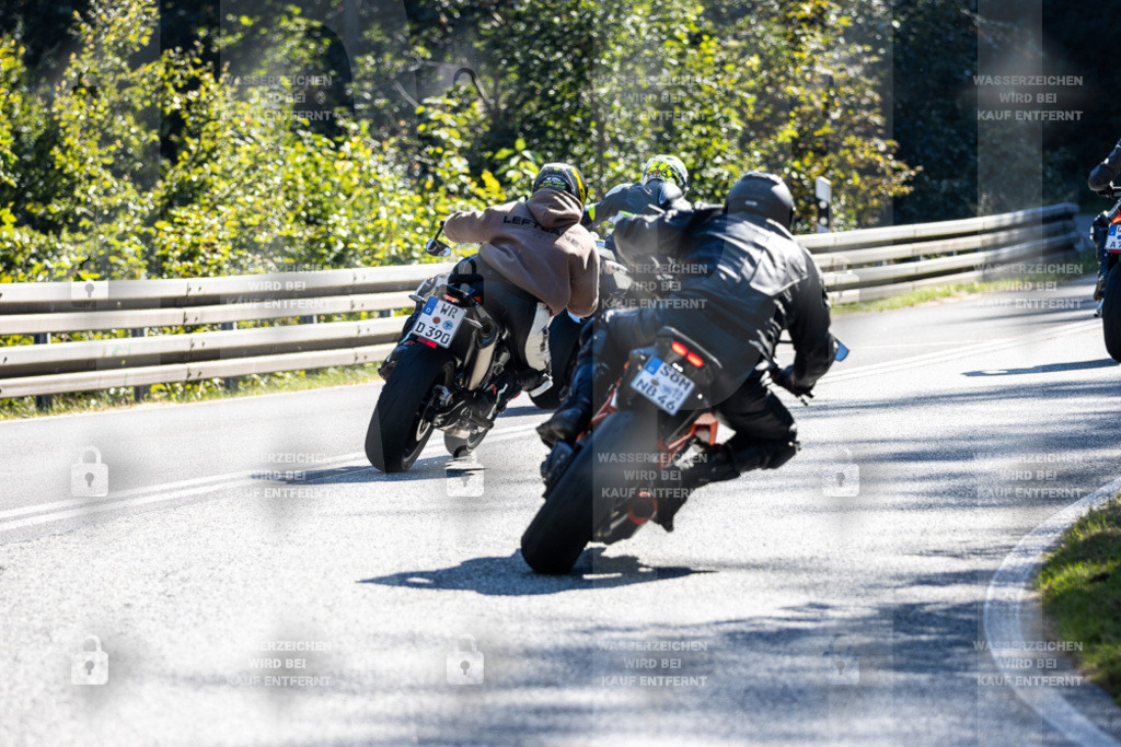 IMG_3529 | jrph - Realisiert mit Pictrs.com