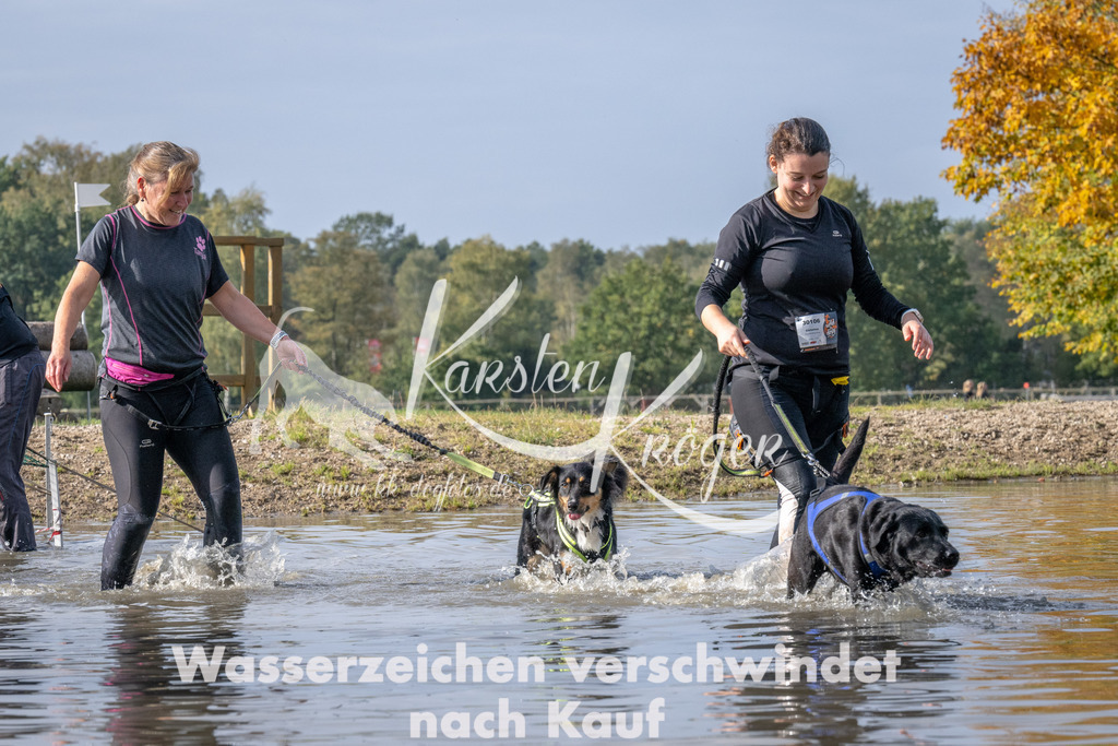 1153_ZZ94550 | kk-dogfotos
