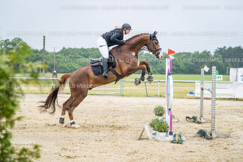 DSC01660 | Pferdegrafie