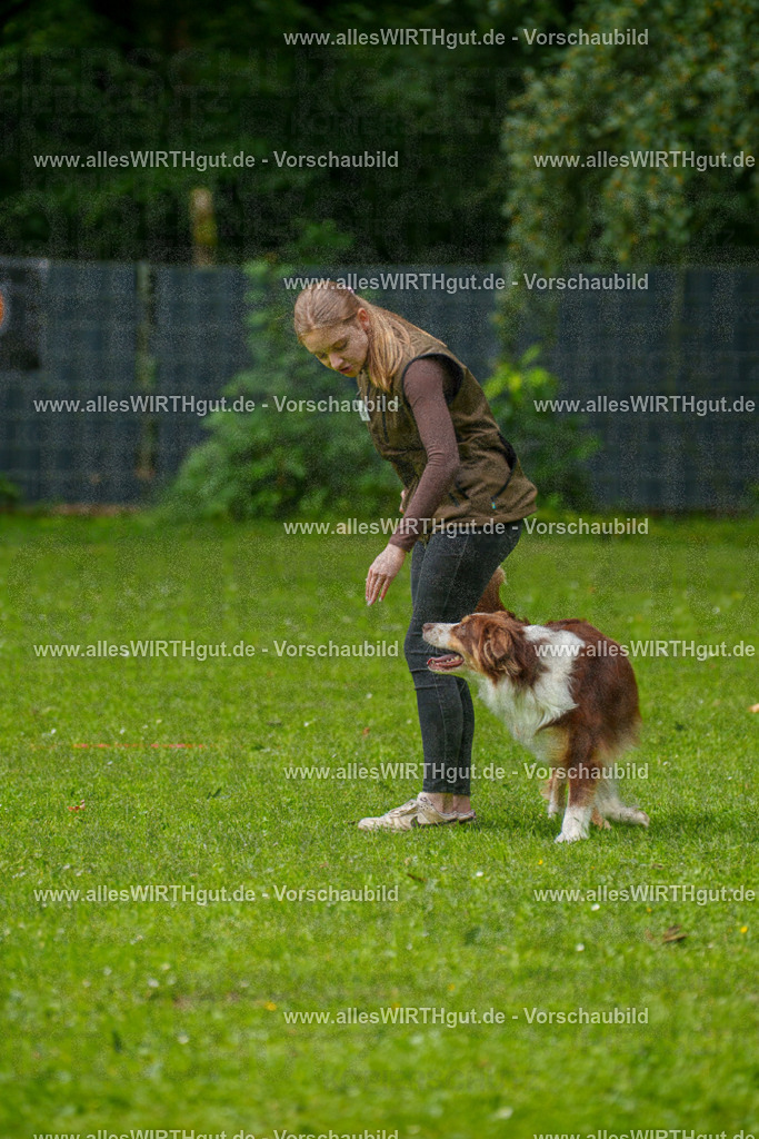 @allesWIRTHgut_Tierfotografie - www.allesWIRTHgut.de - 7R500518 | Professionelle Tierfotografie in Mönchengladbach von Daniel Wirth (allesWIRTHgut). Liebevolle & natürliche Bilder von Hunden & Katzen für unvergessliche Erinnerungen.