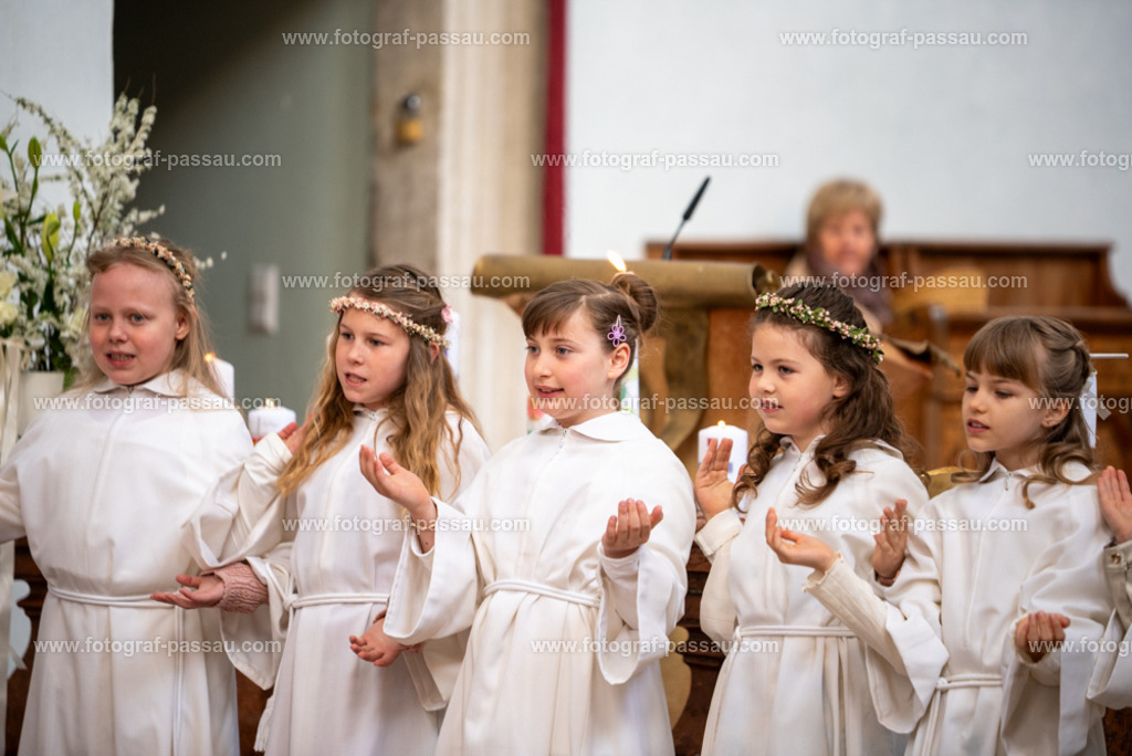 _DSC2674 | Hier finden Sie die Online Foto-Galerie von fotograf-passau.com und marius-handrugan.de. Suchen Sie sich direkt Ihre Lieblingsbilder aus, ob als Ausdruck oder Download. - Realisiert mit Pictrs.com