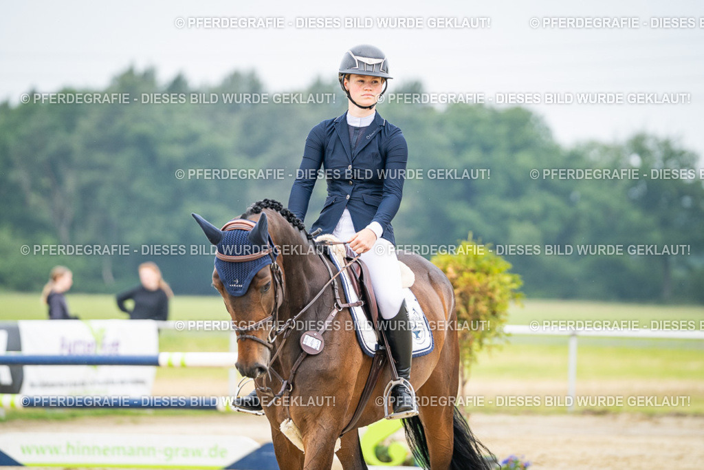 DSC00047 | Pferdegrafie