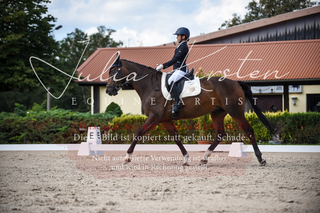 DSC_9408 | Pferde- und Turnierfotografie in Westsachsen. Pferdeportraits, Auftragszeichnungen und intuitive Kunst.
