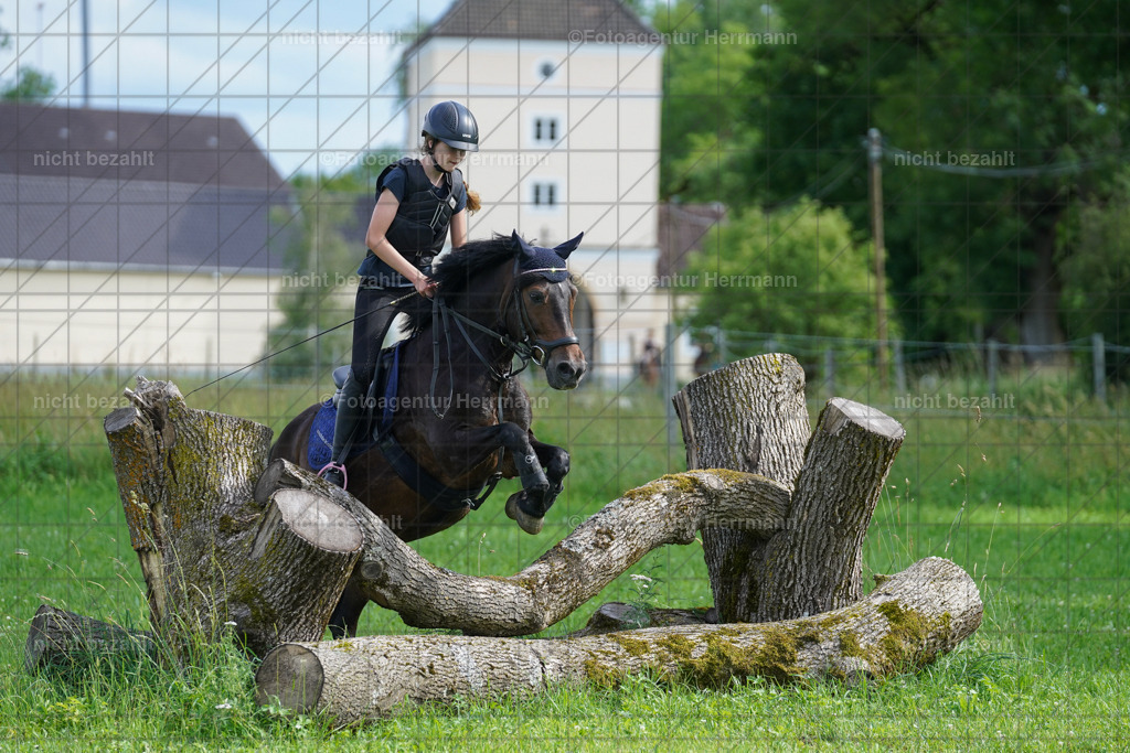20240622-FAH08086 | Turnierfotografen Bayern, Reitsportbilder aus dem Geländekurs mit Felix Etzel auf dem Gut Waitzacker 2024